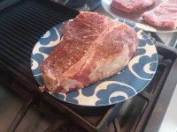 T-Bone 1.webp