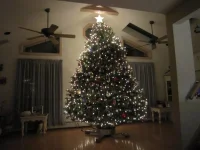 HOLIDAYS 2011 008.webp