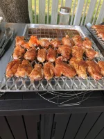 wings1.webp