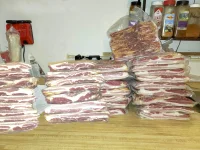 bacon lineup.webp