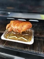 BostonButt#1.webp