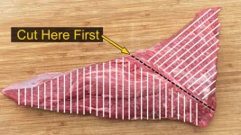 TriTip.webp