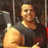 Bull_pt