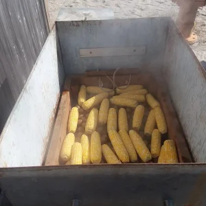 20190921_150612.jpg